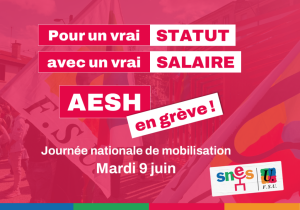 AESH, la colère est grande ! En grève le mardi 9 juin