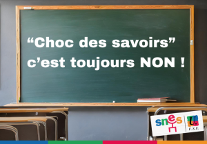 Les groupes de niveaux bientôt annulés par le conseil d'état ?