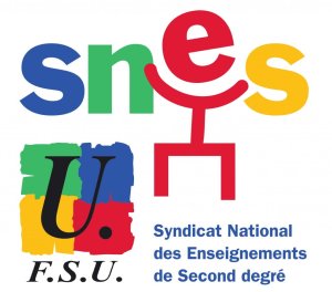 Réforme des concours : la visio du SNES-FSU pour tout savoir !